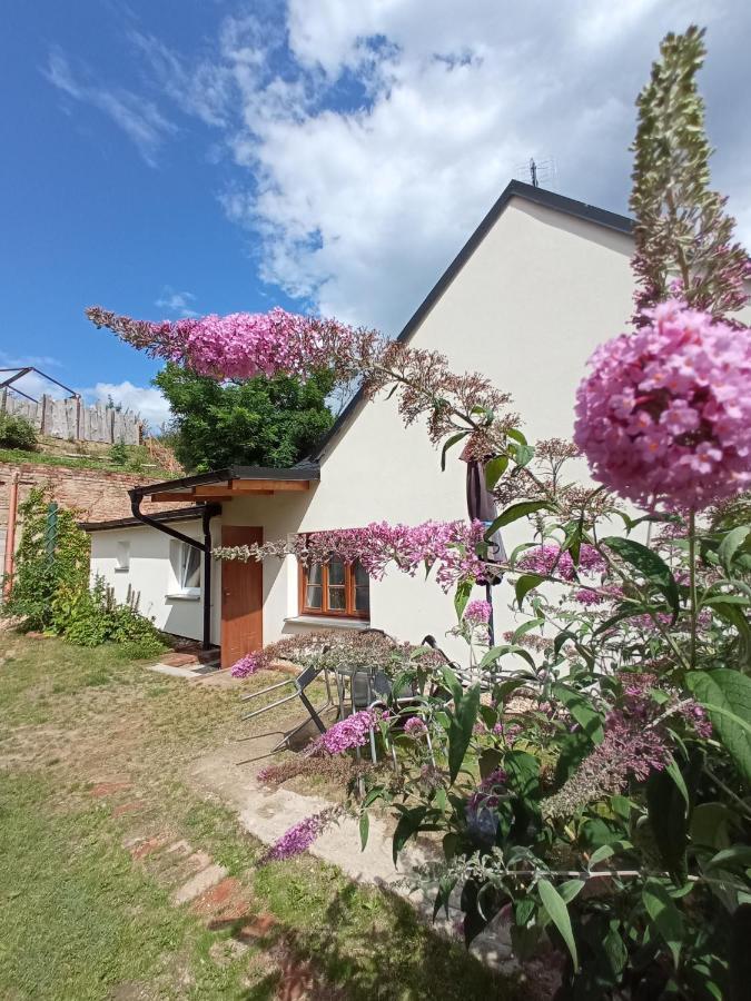 Ubytovani U Jesterky Jaroslavice (Znojmo) Exterior photo